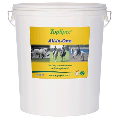 Top Spec All-in-One