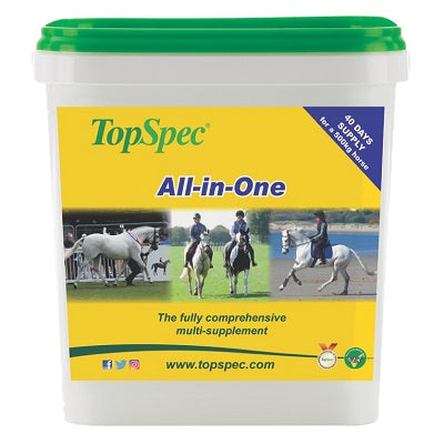 Top Spec All-in-One