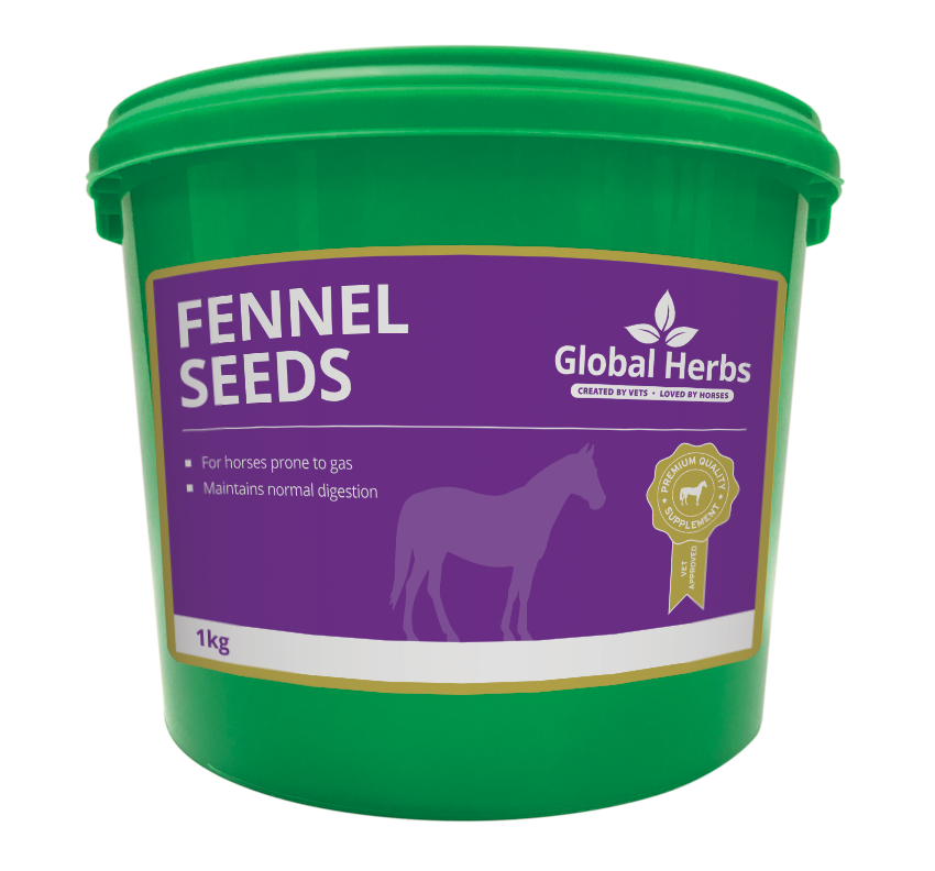 Global H Fennel