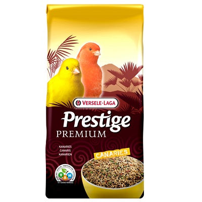 VL Canary Super Breeding Prestige Prem