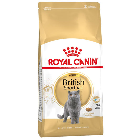 RC British Short Hair