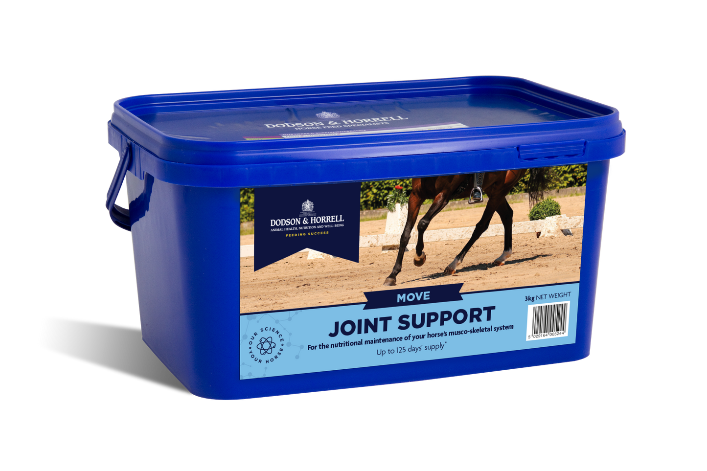 D & H Joint Support