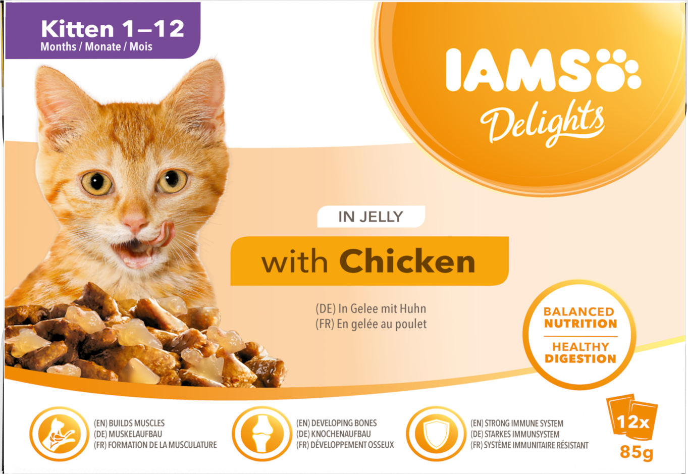 Iams Cat Delight Kitten Jelly 12x85g