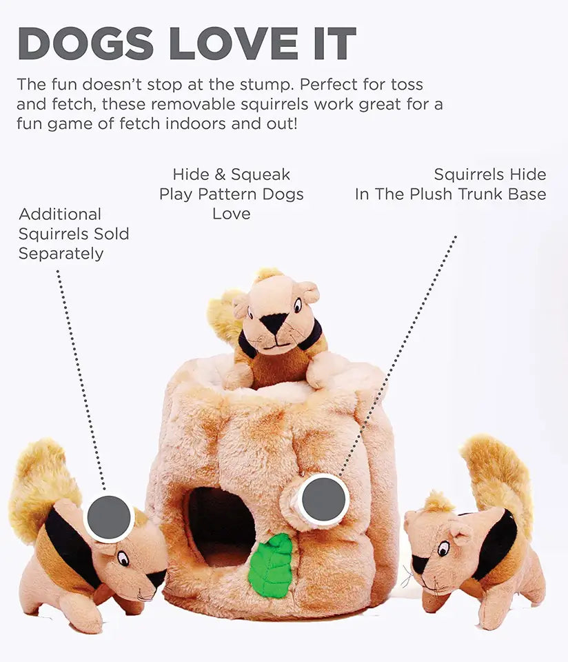 OnlinePetToys™ - Squirrel hide and seek toy