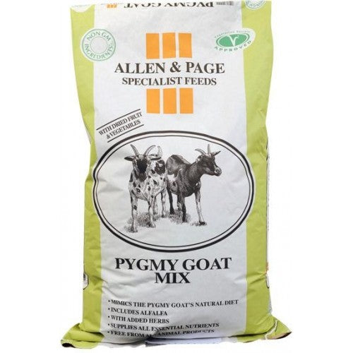 A&P Pygmy Goat Mix