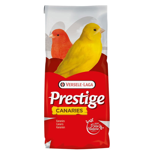 VL Canary Breeding Prestige