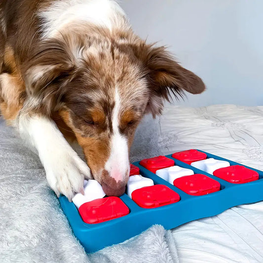 OnlinePetToys™- Interactive puzzle toy level 2
