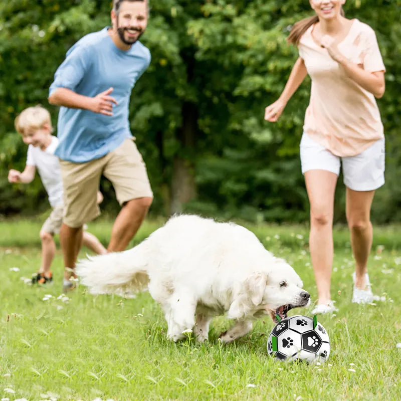 Dog Football.